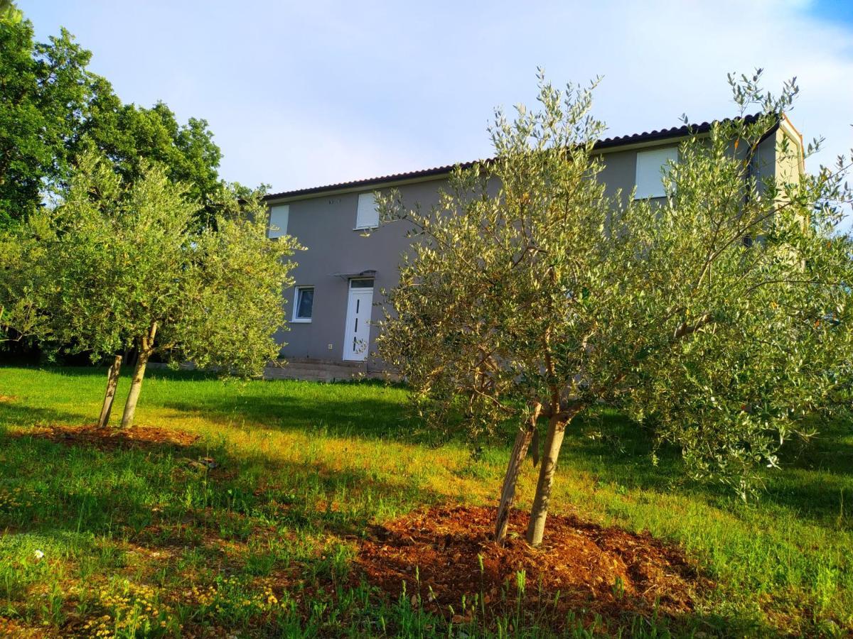 Apartments Valeria Divšići Екстериор снимка